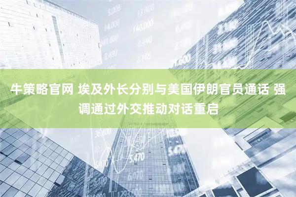 牛策略官网 埃及外长分别与美国伊朗官员通话 强调通过外交推动对话重启