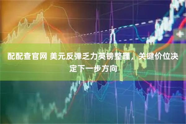 配配查官网 美元反弹乏力英镑整理，关键价位决定下一步方向